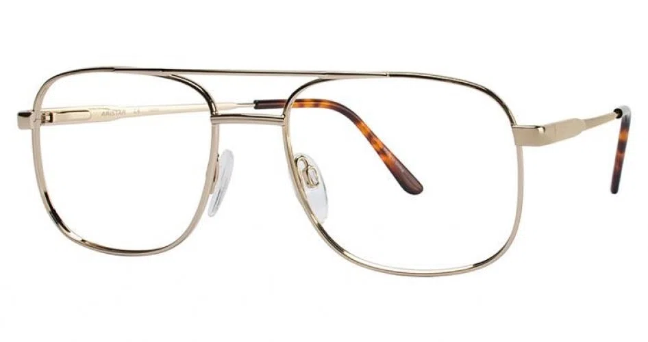 Aristar AR6102 Eyeglasses - view 4